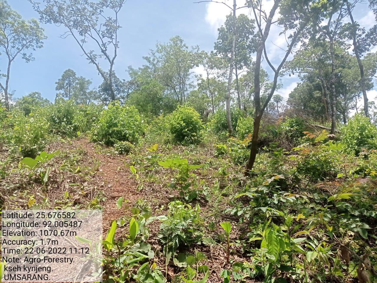 C:\Users\Lavinia Pde\Downloads\WhatsApp Image 2023-03-27 at 12.23.03 (1).jpeg